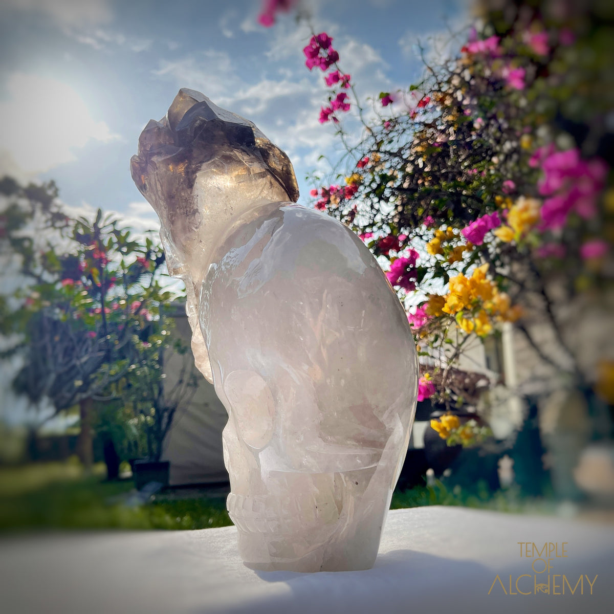 * Reserved * Andre & Gina 𓆃 Warrior #194 : The Awakening of the Warrior Queen