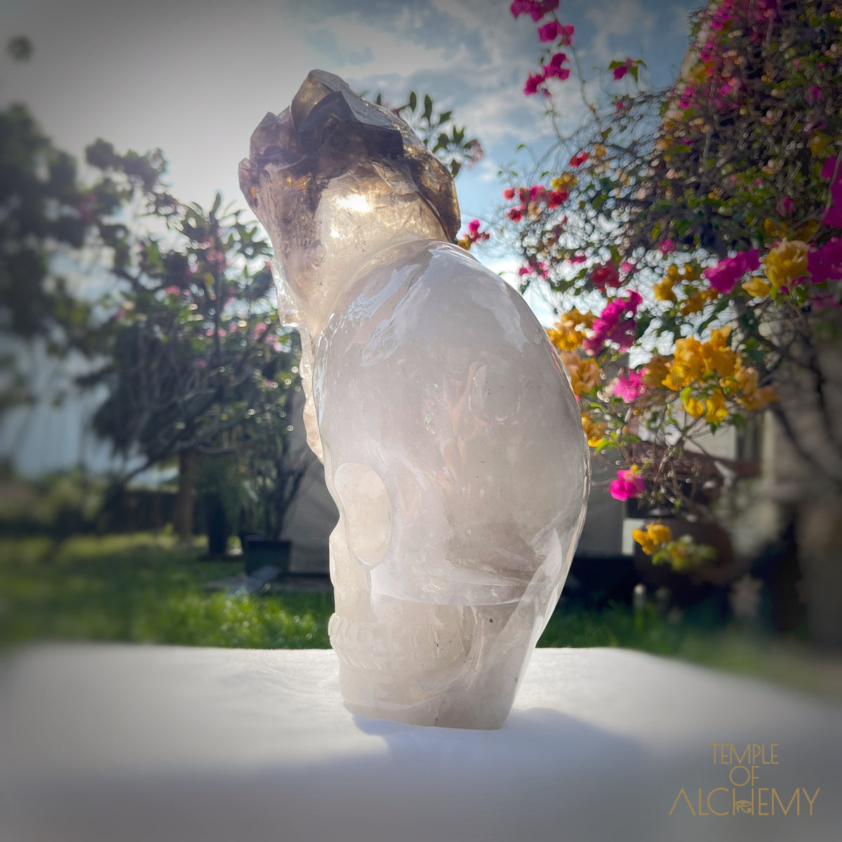 * Reserved * Andre & Gina 𓆃 Warrior #194 : The Awakening of the Warrior Queen