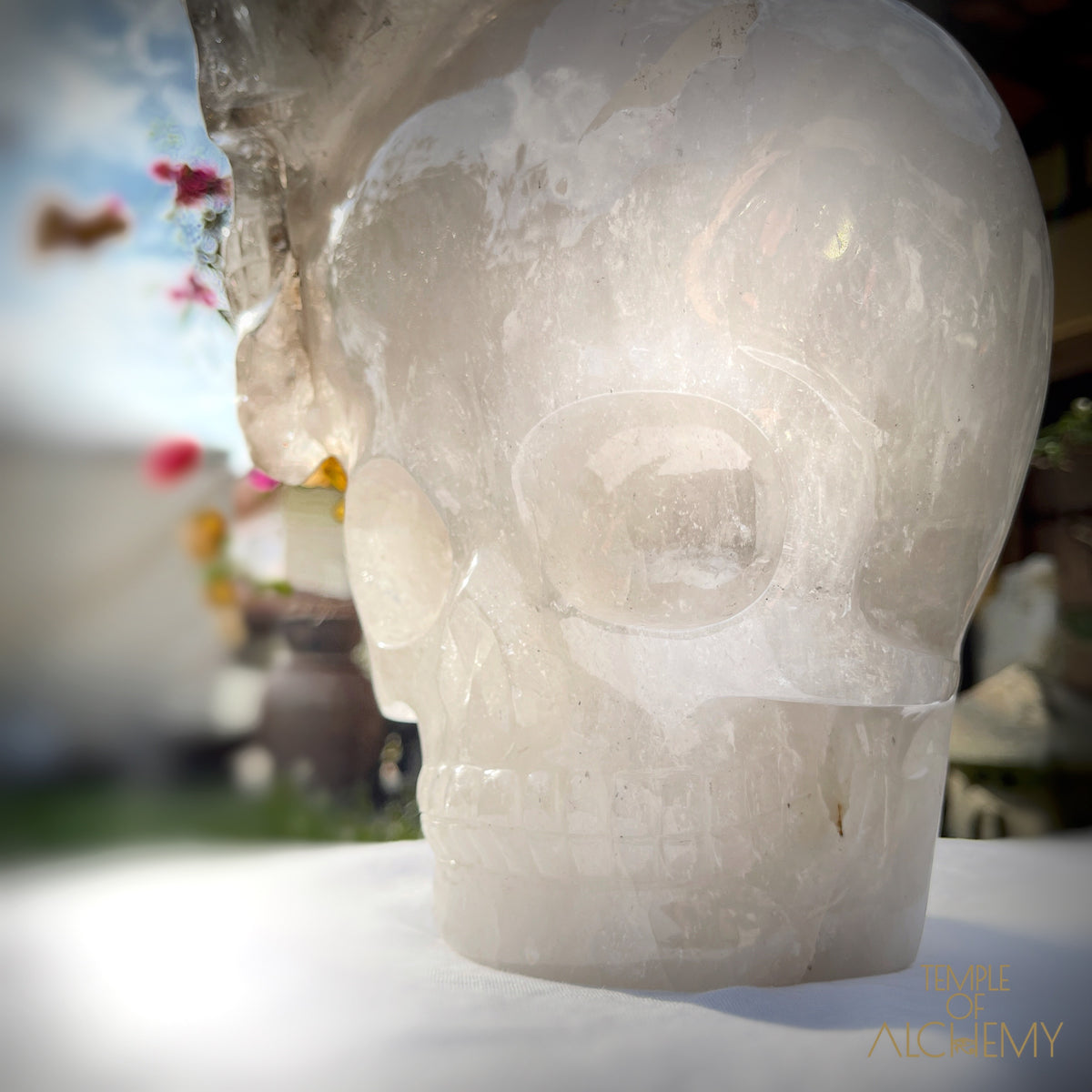 * Reserved * Andre & Gina 𓆃 Warrior #194 : The Awakening of the Warrior Queen