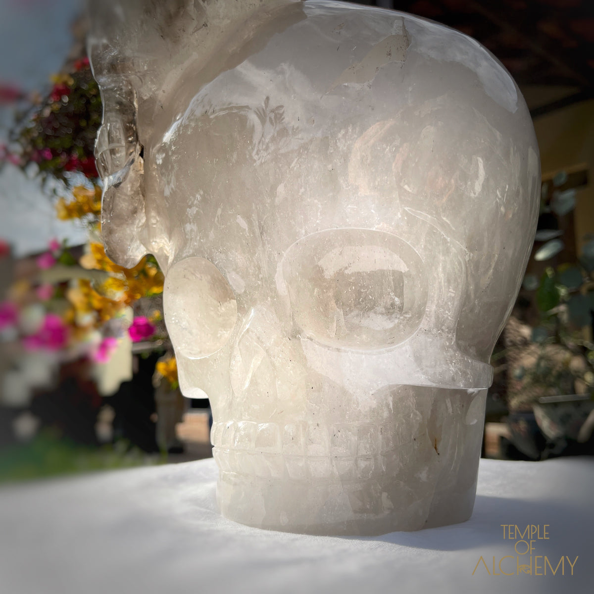 * Reserved * Andre & Gina 𓆃 Warrior #194 : The Awakening of the Warrior Queen