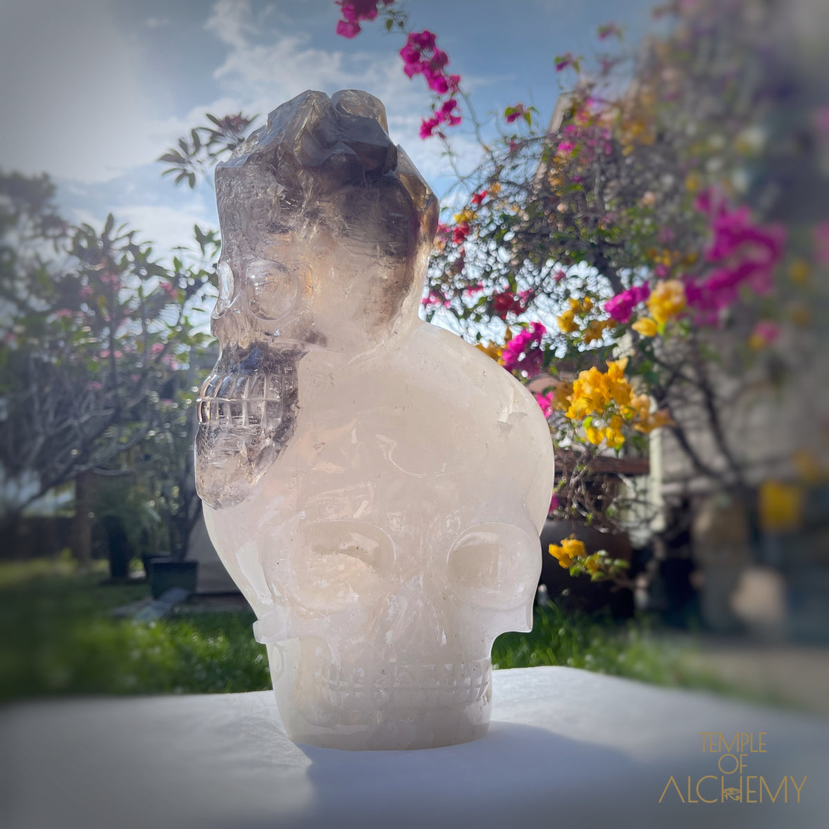 * Reserved * Andre & Gina 𓆃 Warrior #194 : The Awakening of the Warrior Queen