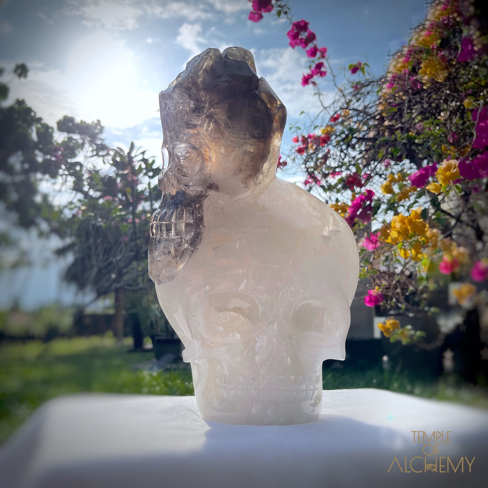 * Reserved * Andre & Gina 𓆃 Warrior #194 : The Awakening of the Warrior Queen