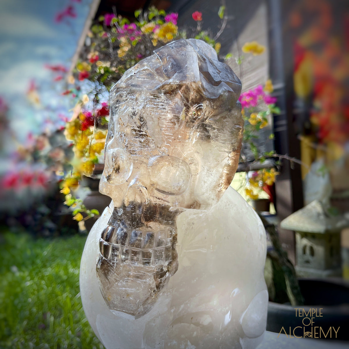 * Reserved * Andre & Gina 𓆃 Warrior #194 : The Awakening of the Warrior Queen