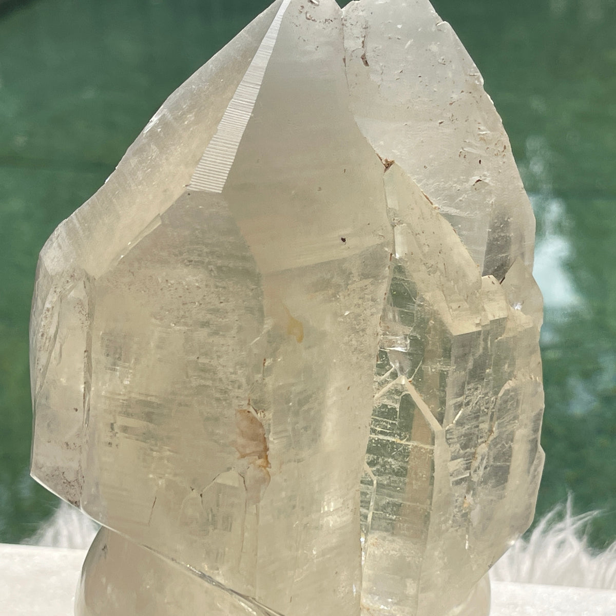 * Reserved C * Citrine Cathedral Lightbrary