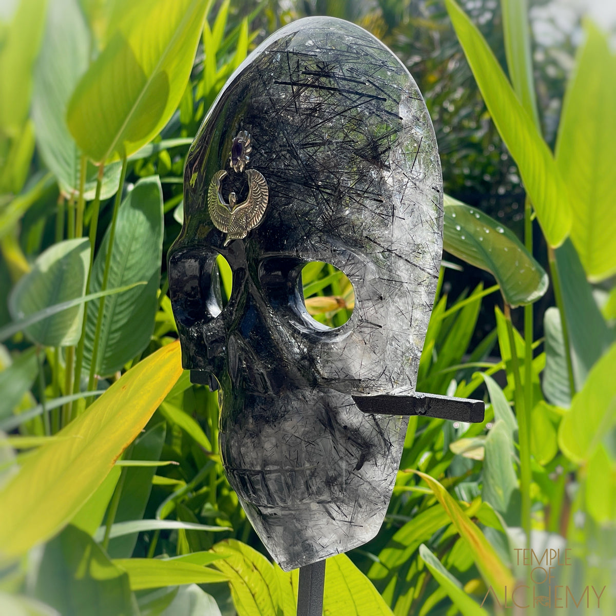 Remover of Obstacles 𓆃 Black Tourmalinated Quartz