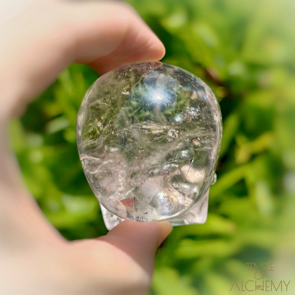 Lemurian 𓆃 Keeper of the Ancient Light