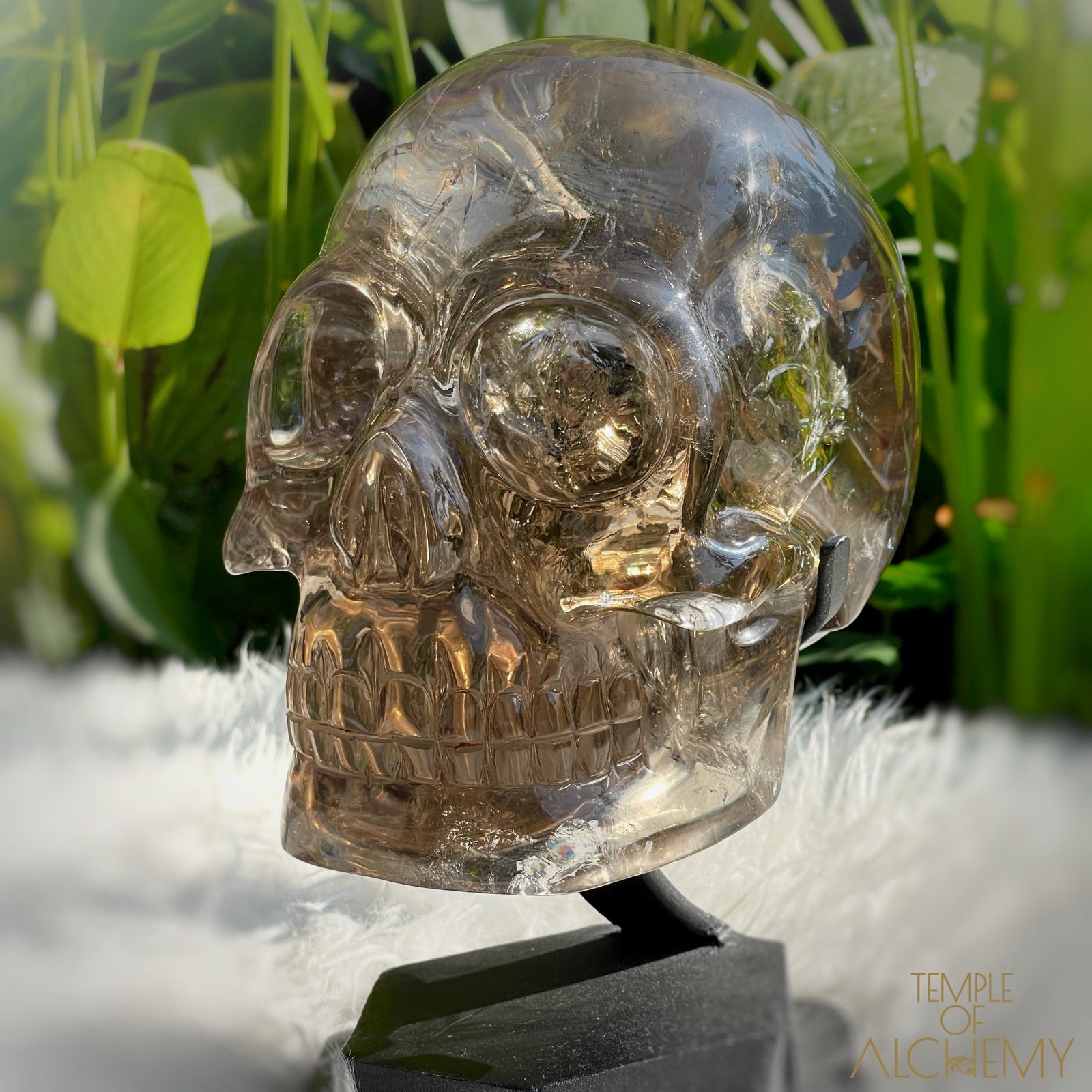 👁️🌈👁️ Smoky Quartz