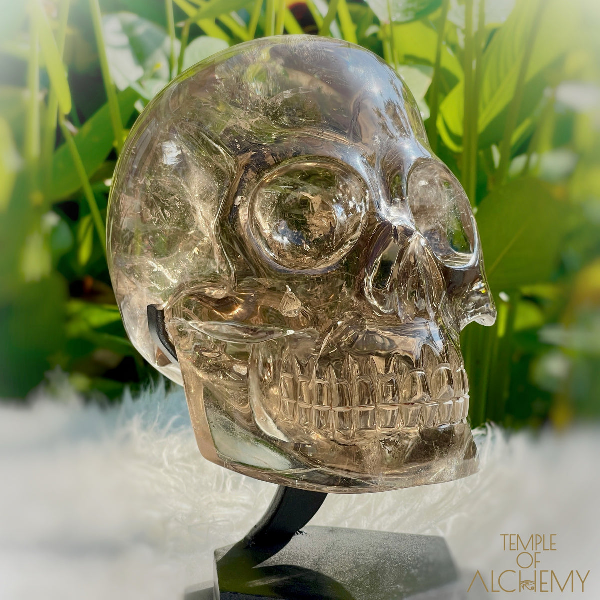 👁️🌈👁️ Smoky Quartz