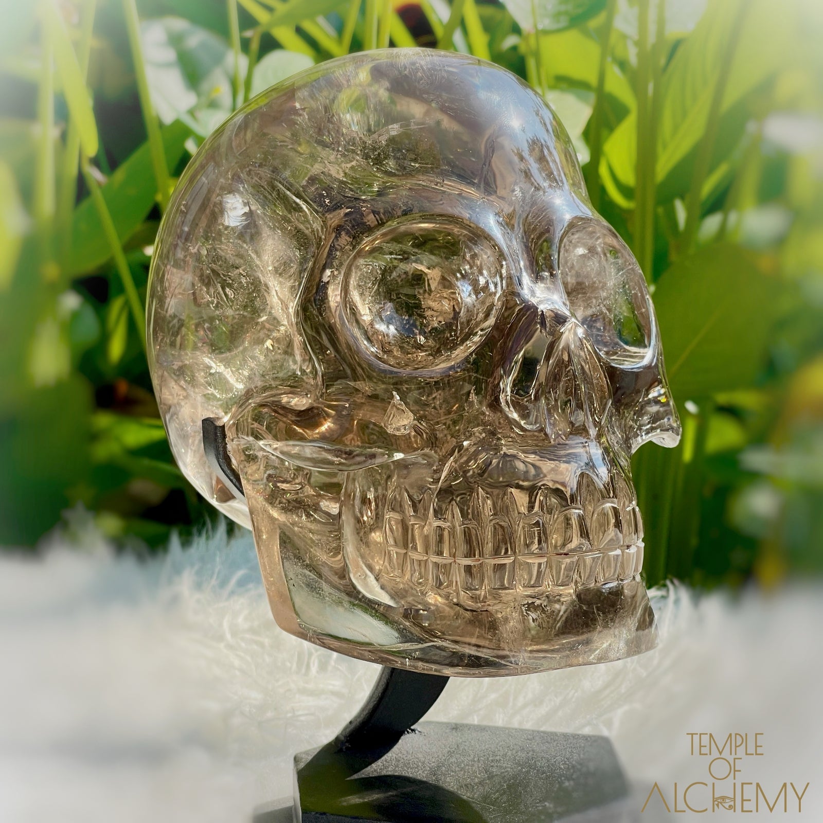 👁️🌈👁️ Smoky Quartz