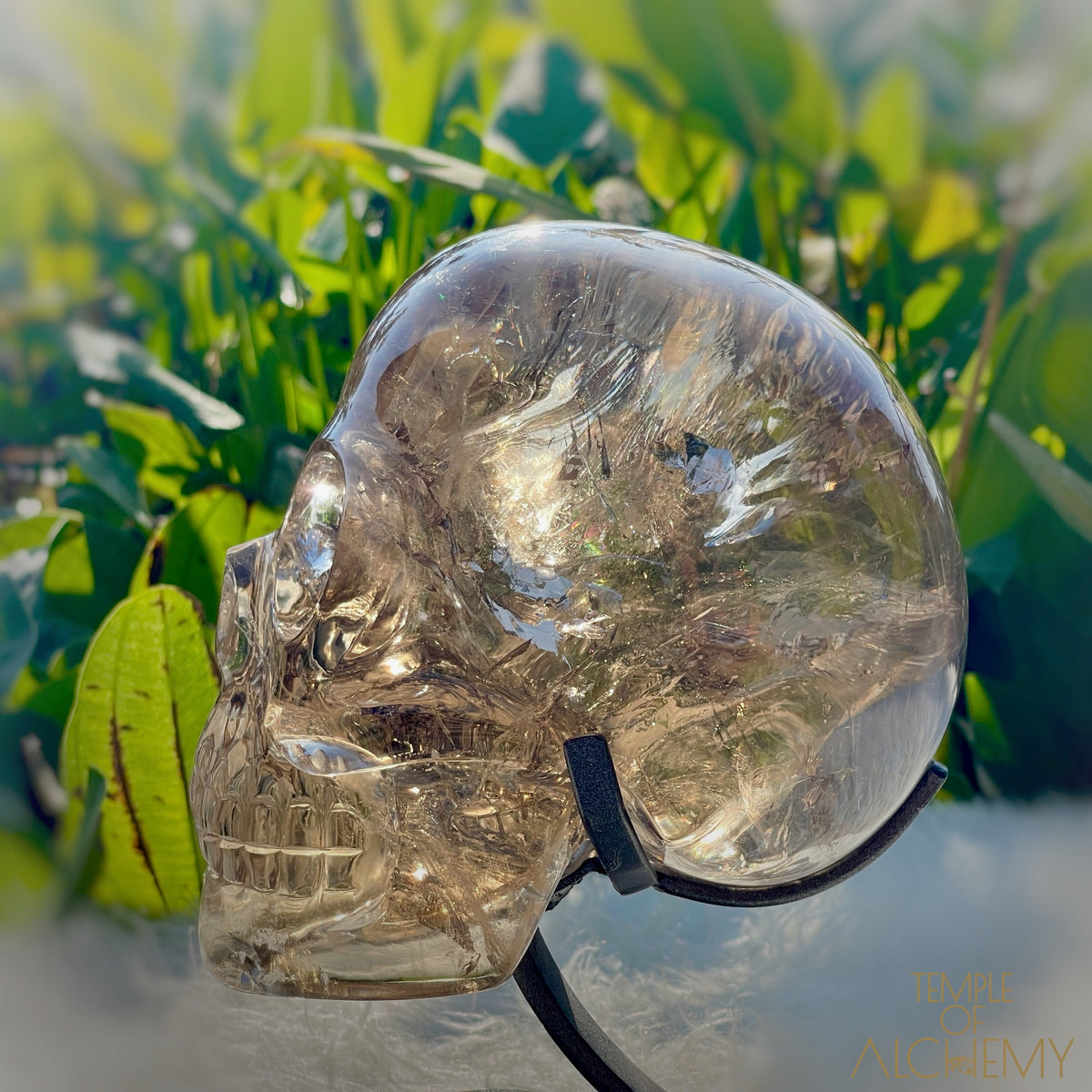 👁️🌈👁️ Smoky Quartz