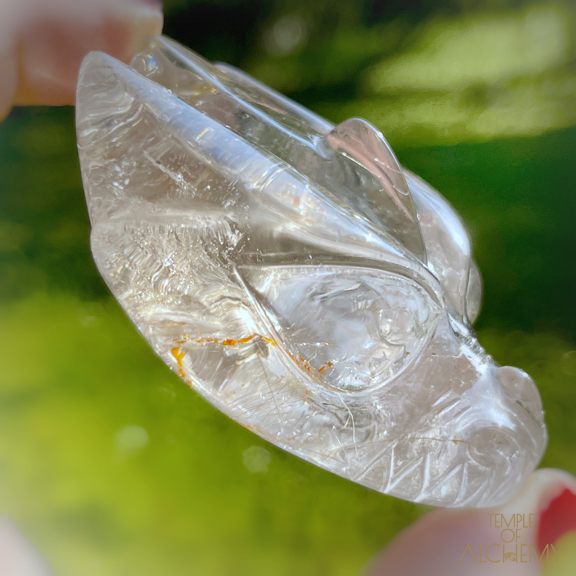 Golden Rutiles in Clear Quartz + Golden Healer