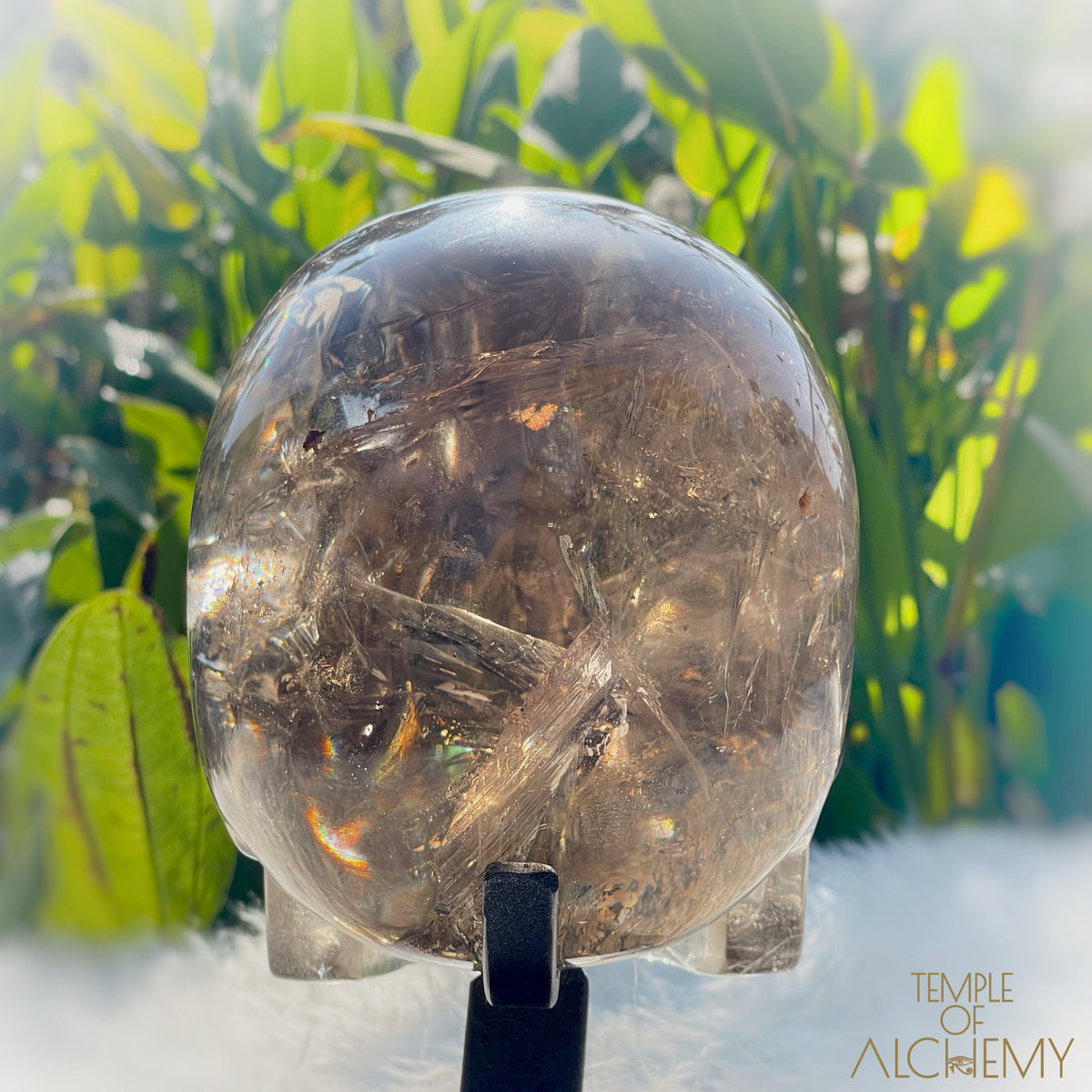 👁️🌈👁️ Smoky Quartz