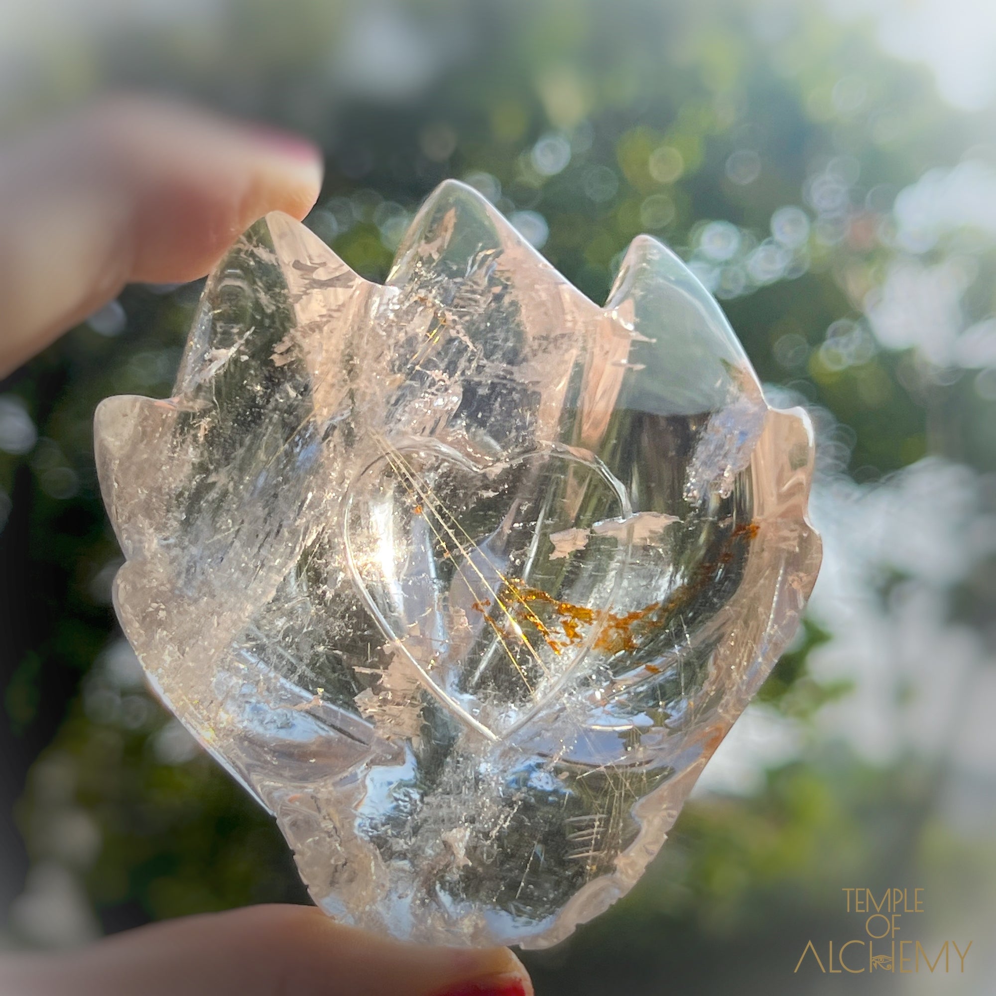 Golden Rutiles in Clear Quartz + Golden Healer