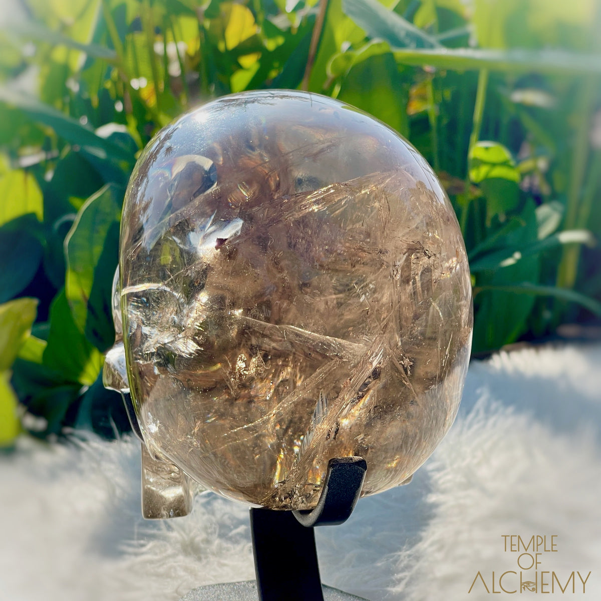 👁️🌈👁️ Smoky Quartz