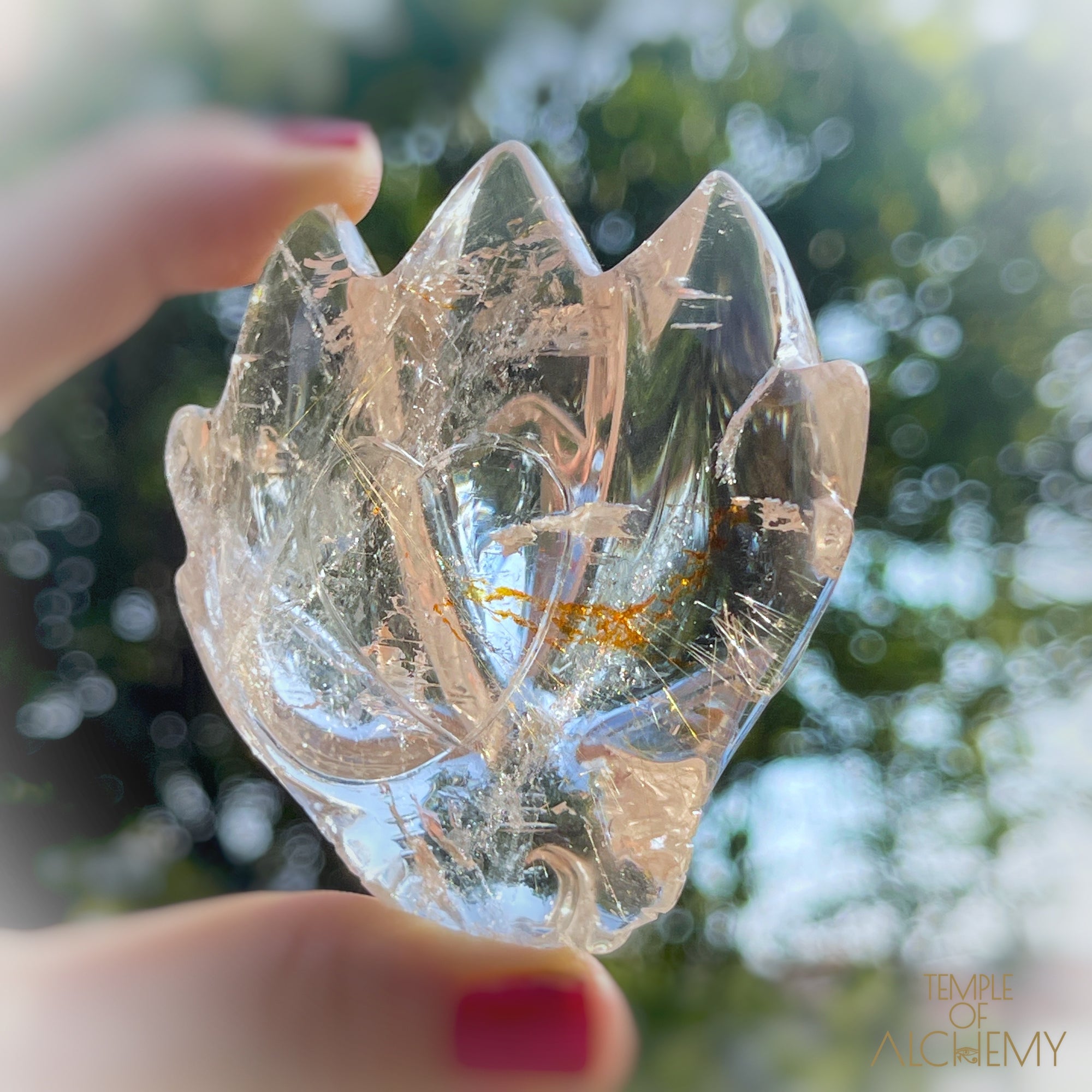 Golden Rutiles in Clear Quartz + Golden Healer