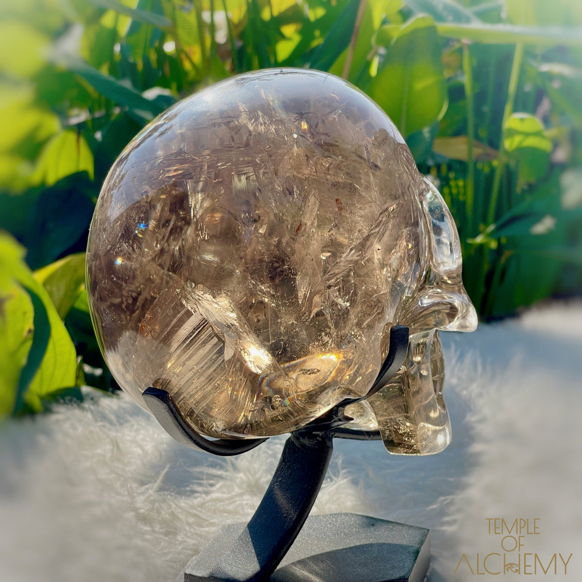 👁️🌈👁️ Smoky Quartz