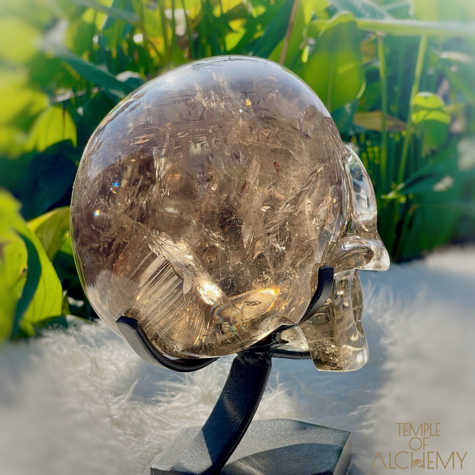 👁️🌈👁️ Smoky Quartz