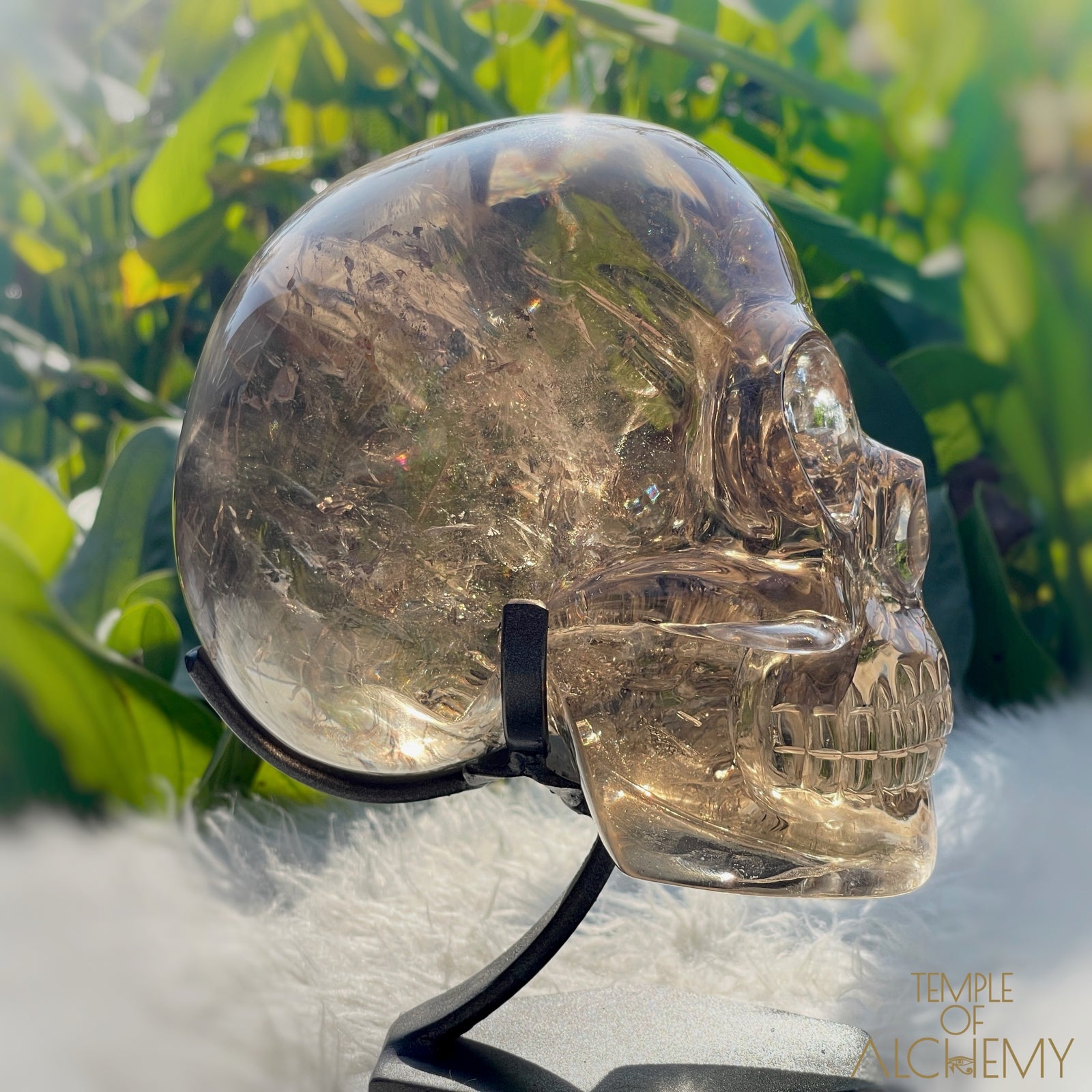 👁️🌈👁️ Smoky Quartz