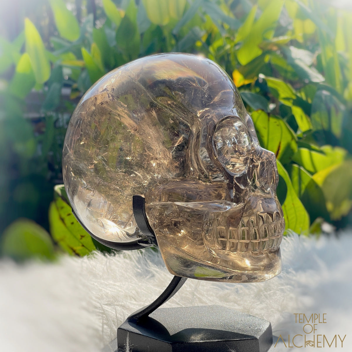 👁️🌈👁️ Smoky Quartz