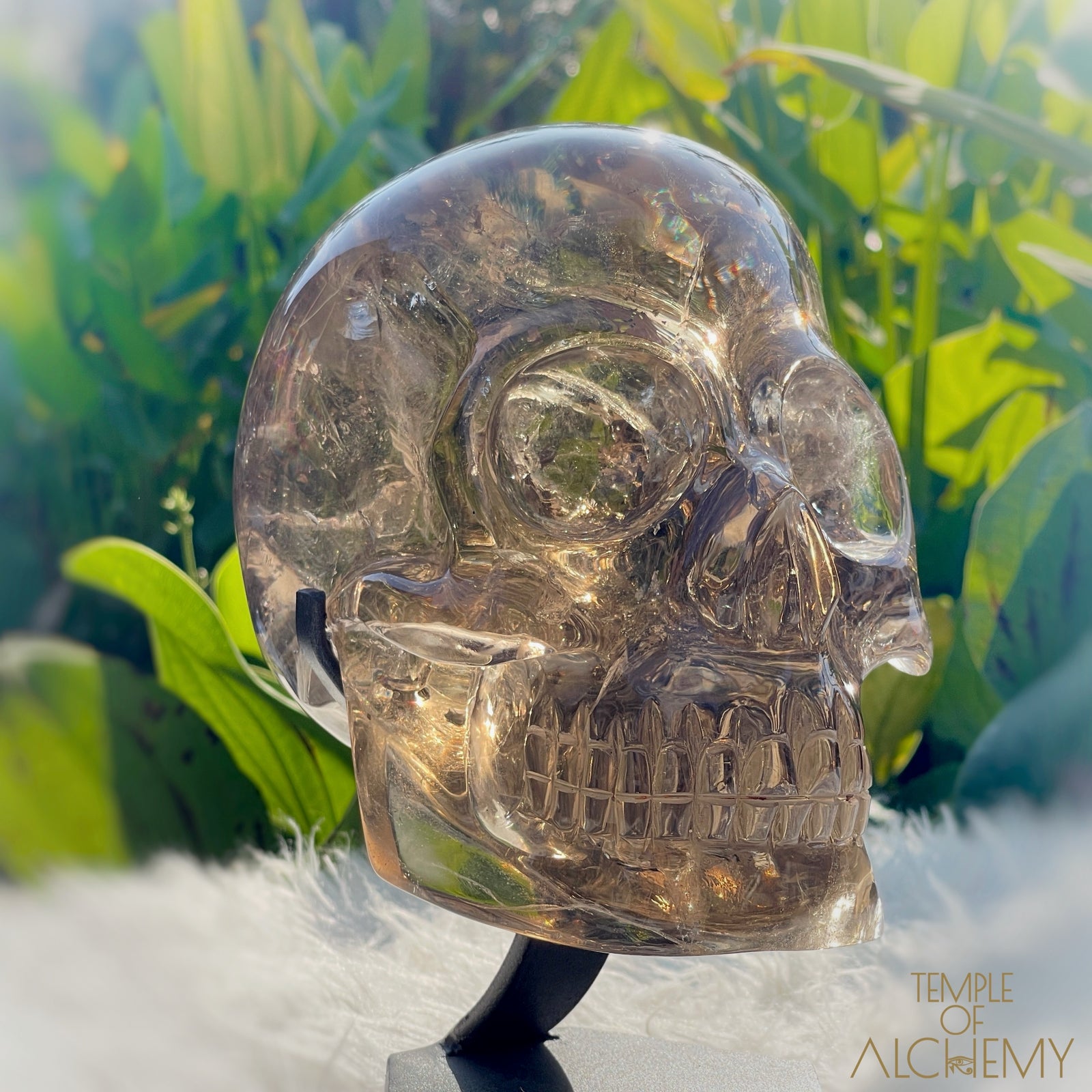 👁️🌈👁️ Smoky Quartz