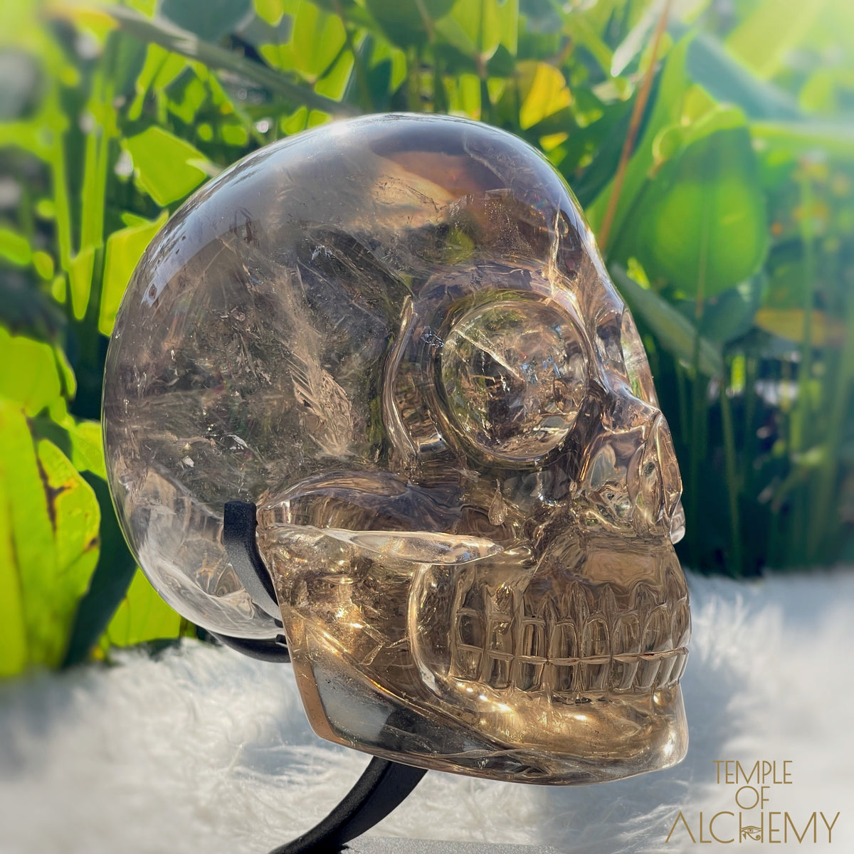 👁️🌈👁️ Smoky Quartz