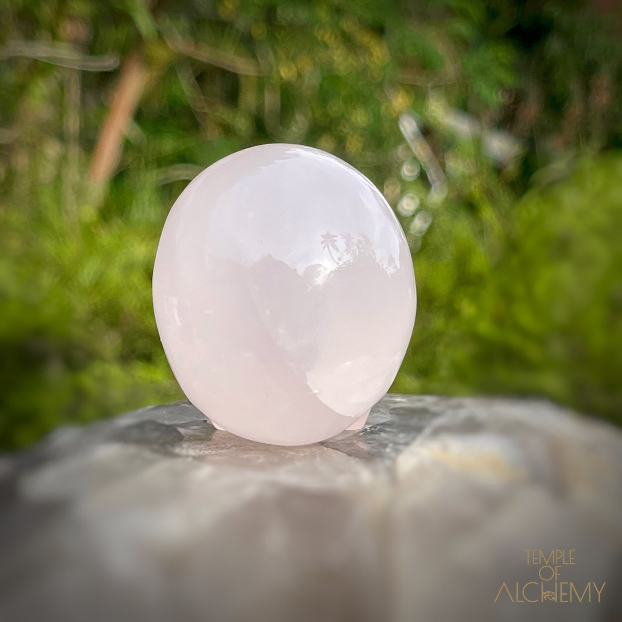 Star Rose Quartz