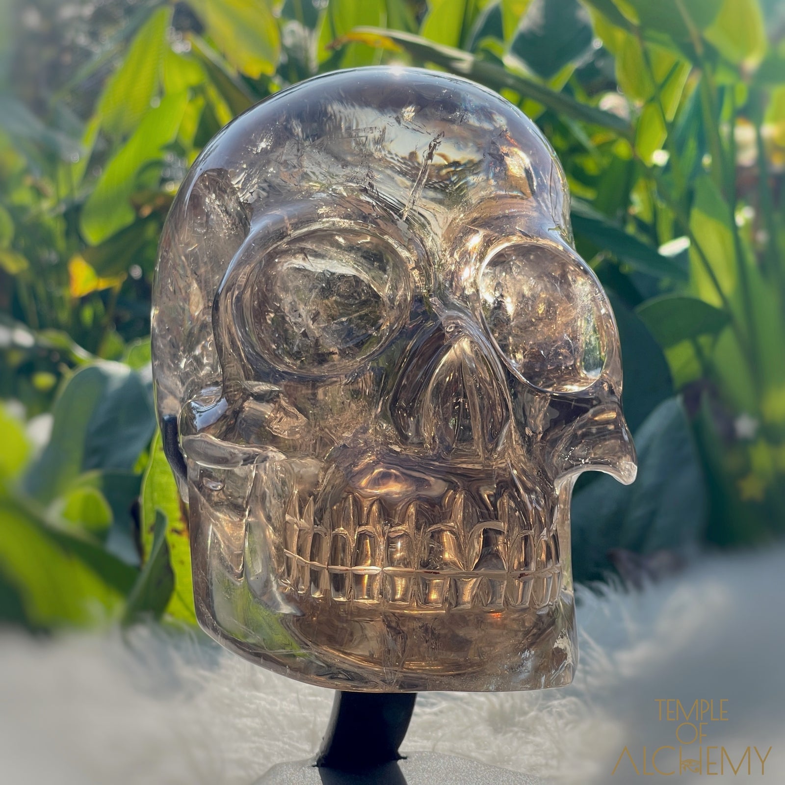 👁️🌈👁️ Smoky Quartz