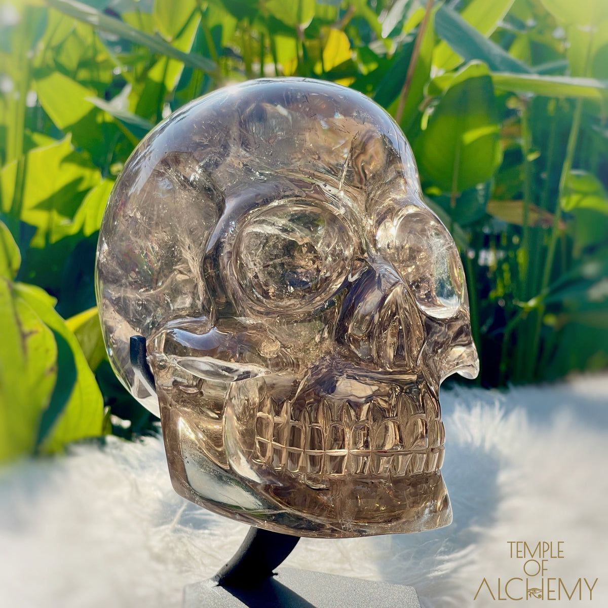 👁️🌈👁️ Smoky Quartz