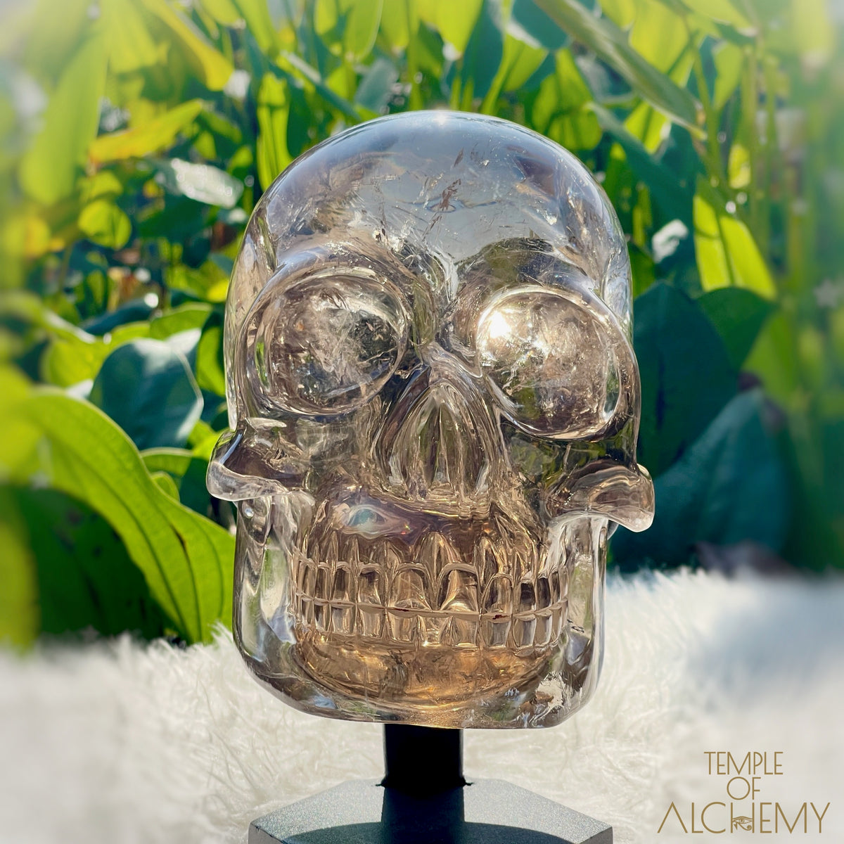 👁️🌈👁️ Smoky Quartz