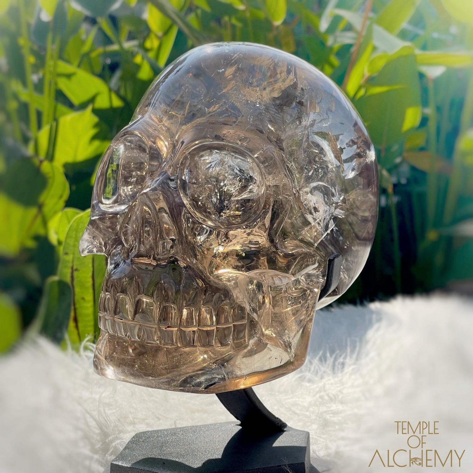 👁️🌈👁️ Smoky Quartz