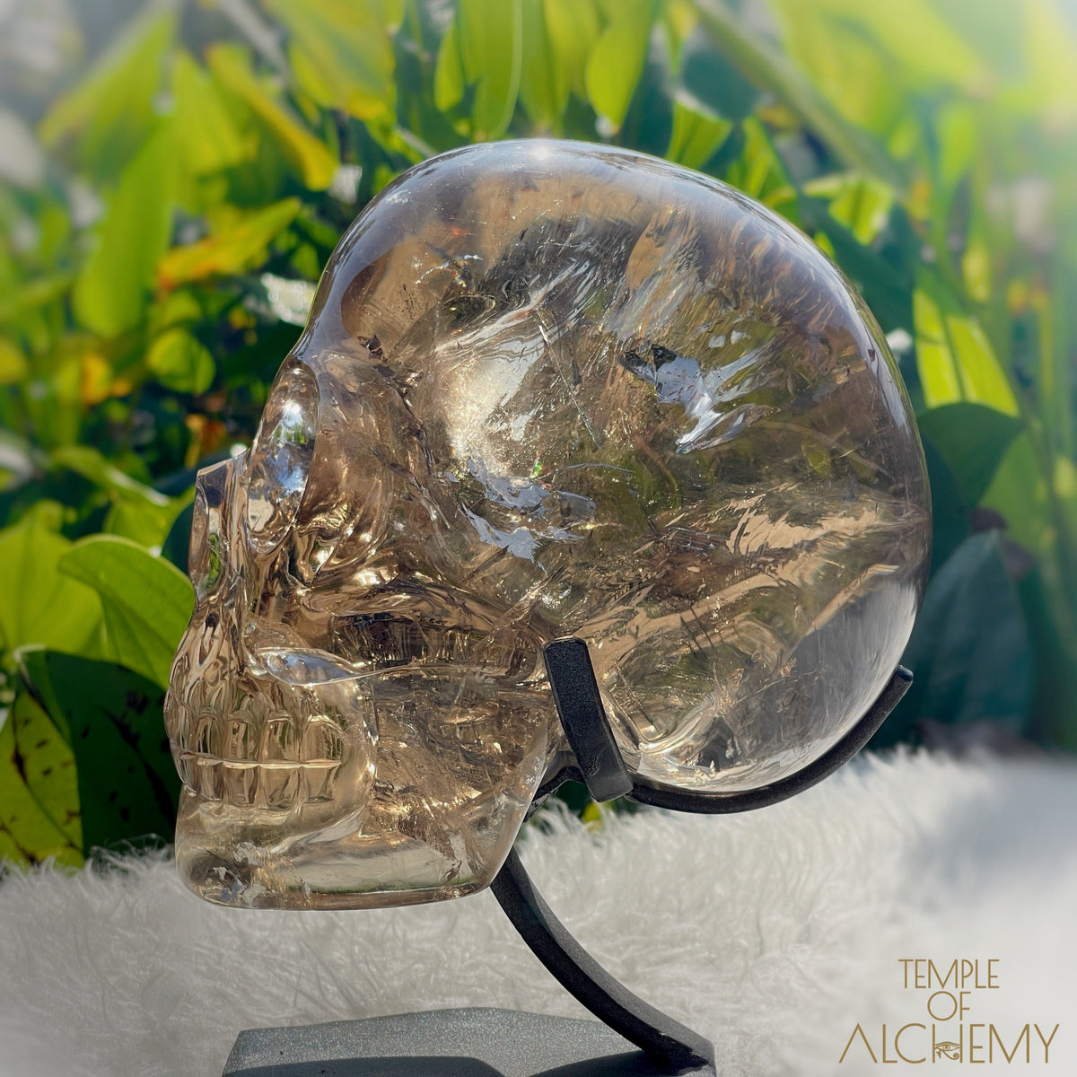 👁️🌈👁️ Smoky Quartz