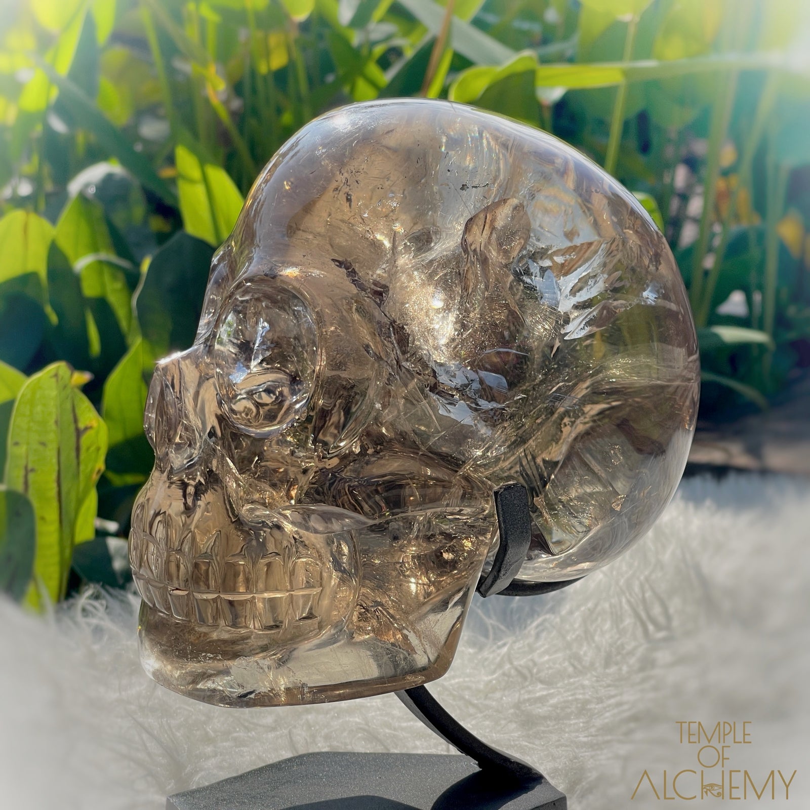 👁️🌈👁️ Smoky Quartz