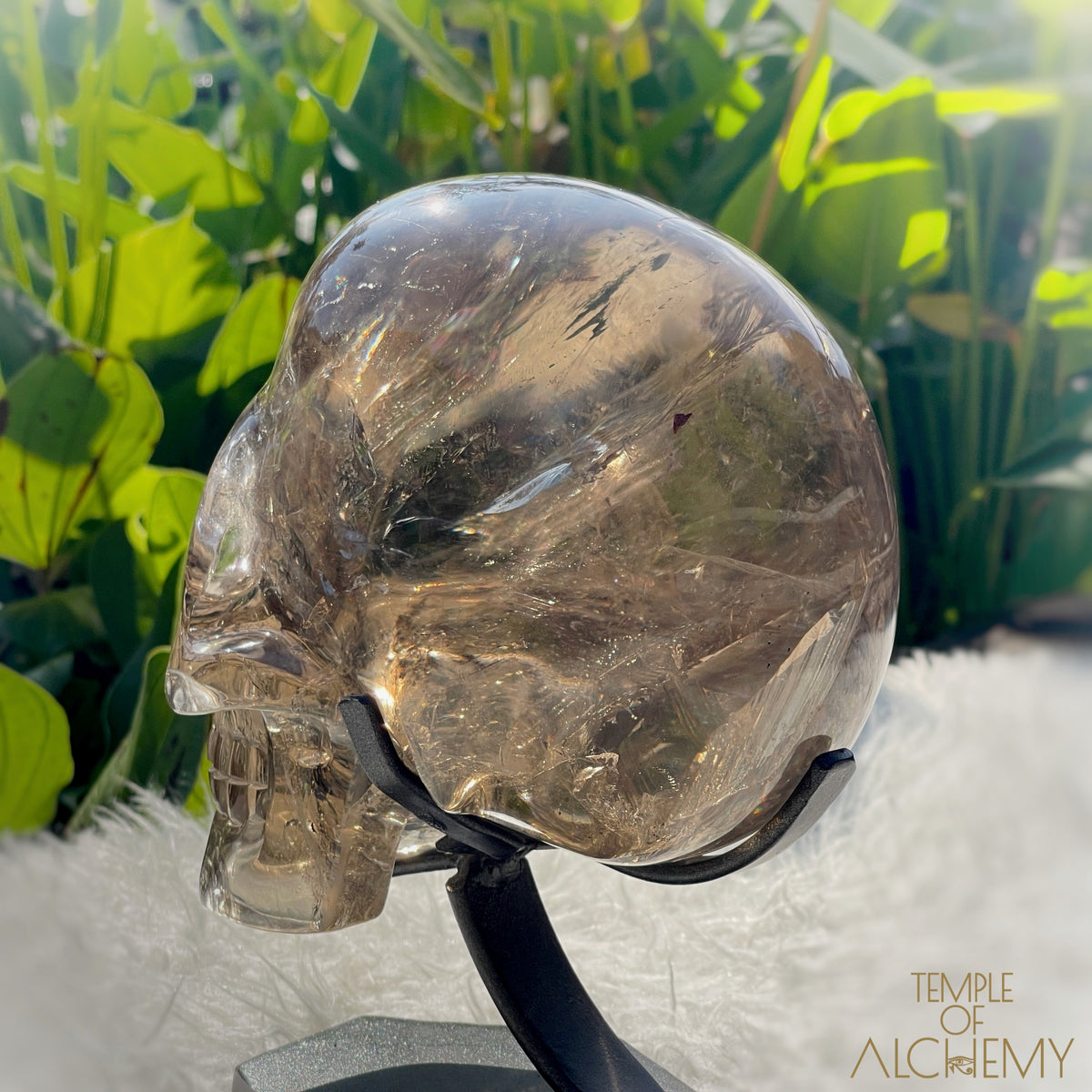 👁️🌈👁️ Smoky Quartz