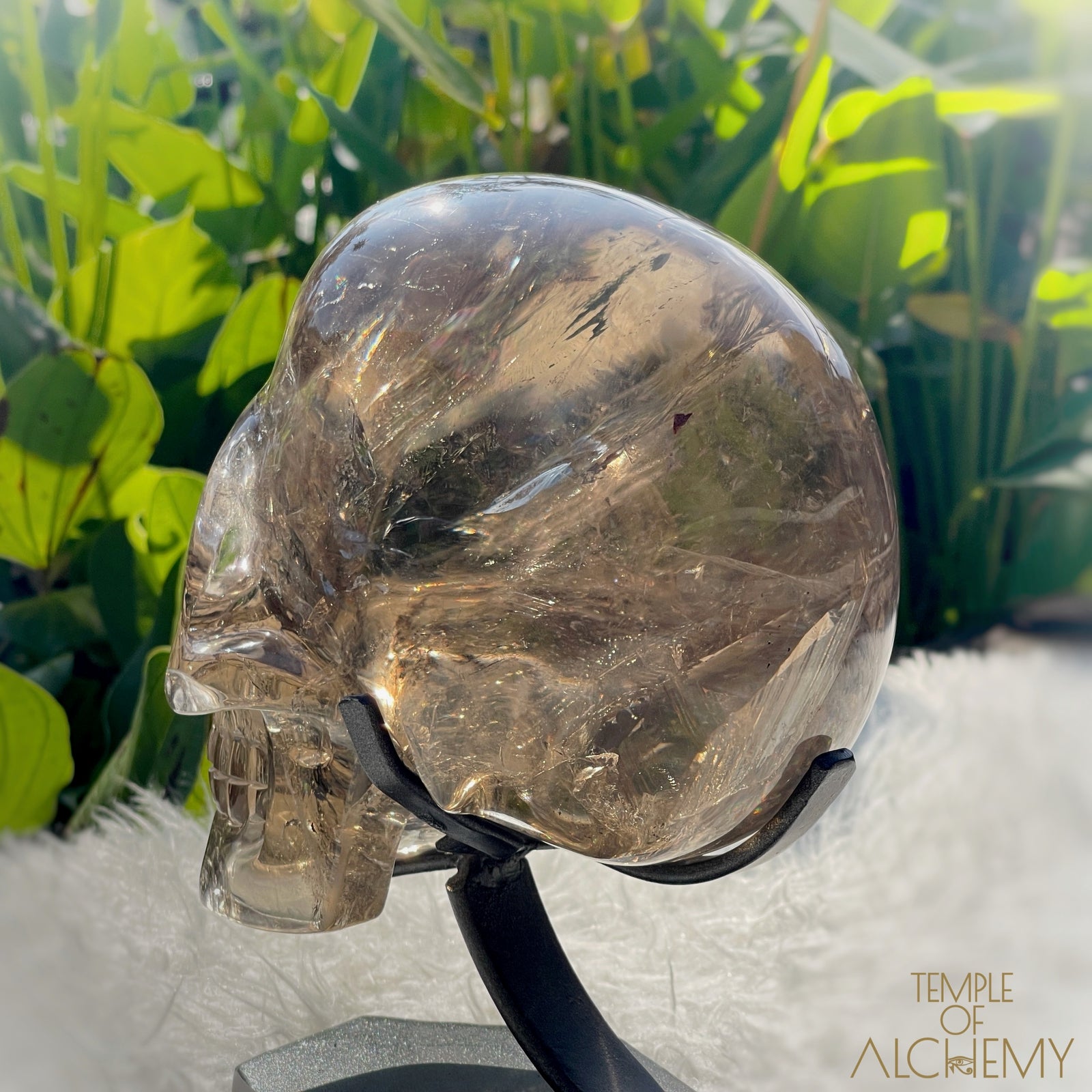 👁️🌈👁️ Smoky Quartz