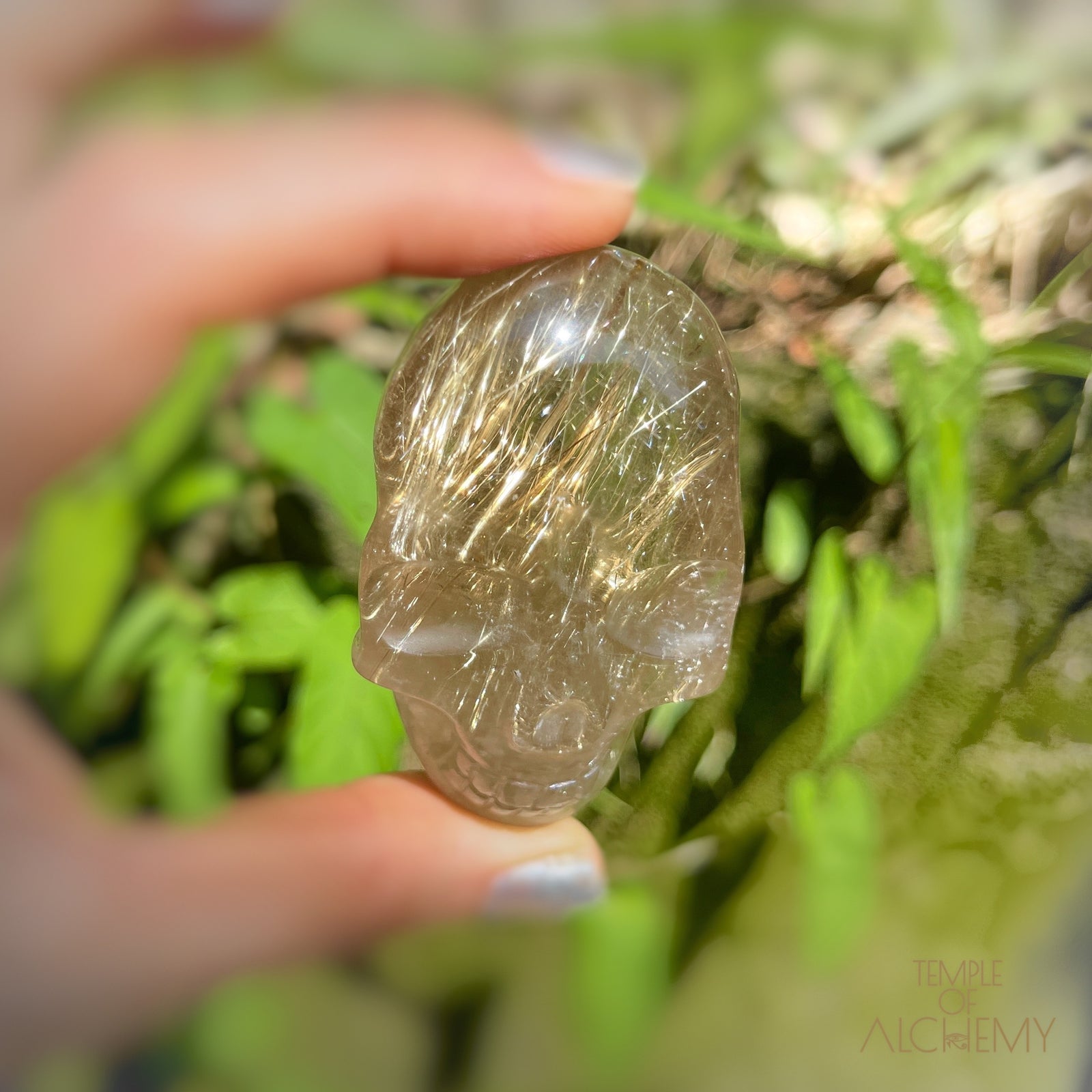 Citrine x Golden Rutiles