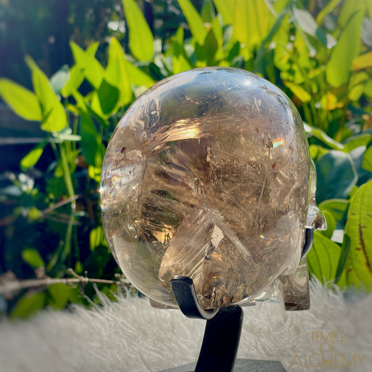 👁️🌈👁️ Smoky Quartz