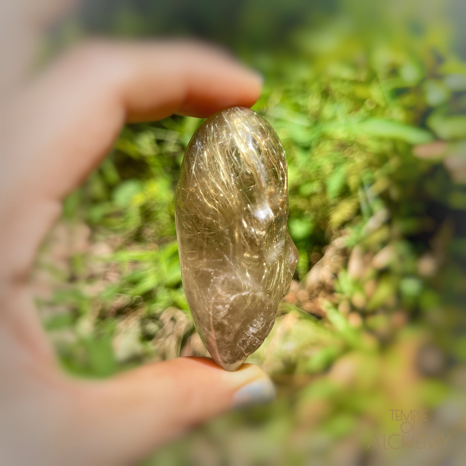 Citrine x Golden Rutiles