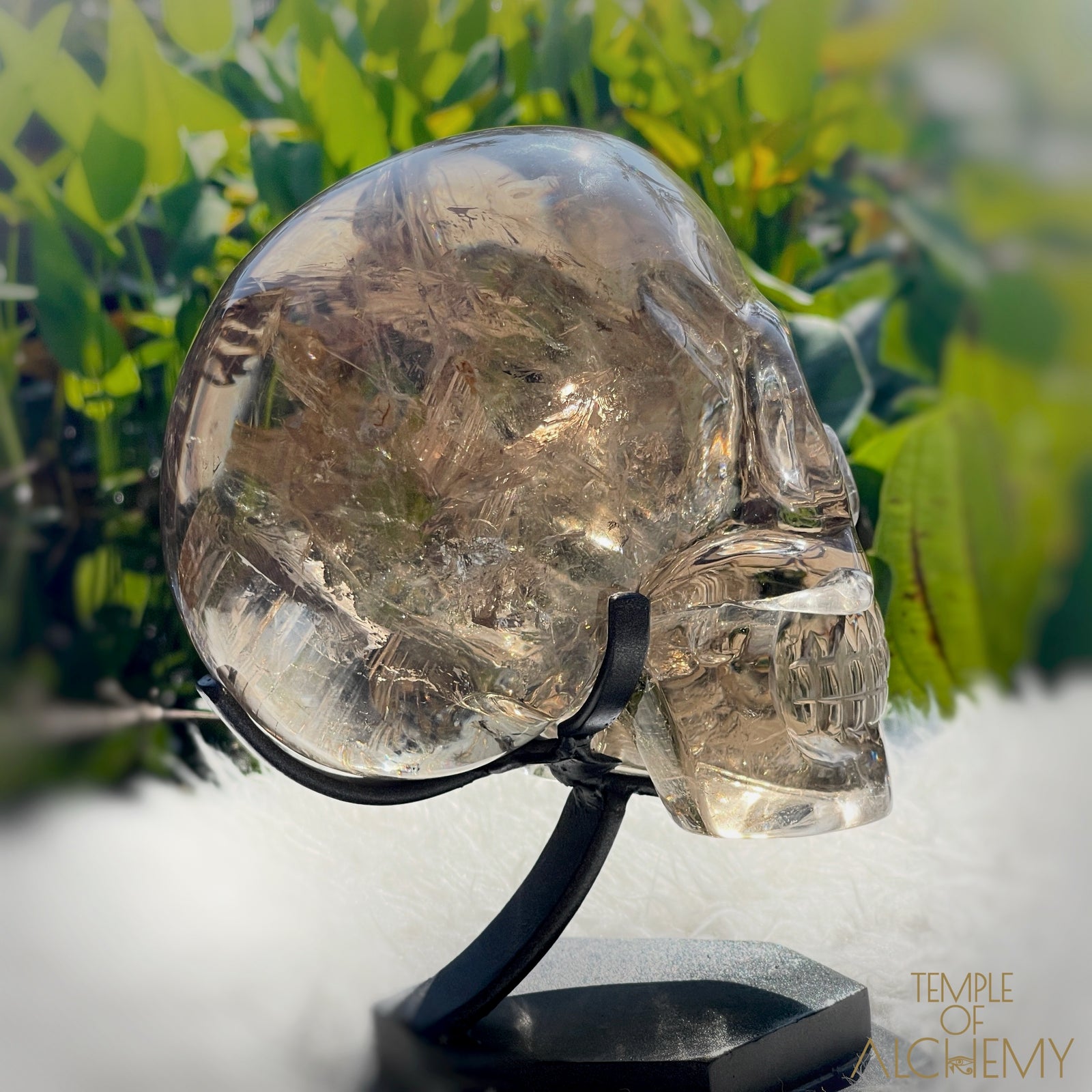 👁️🌈👁️ Smoky Quartz