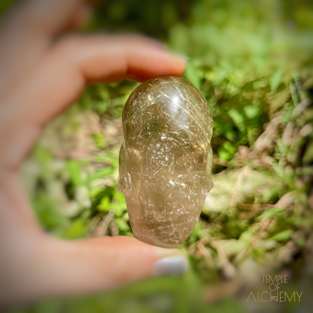 Citrine x Golden Rutiles