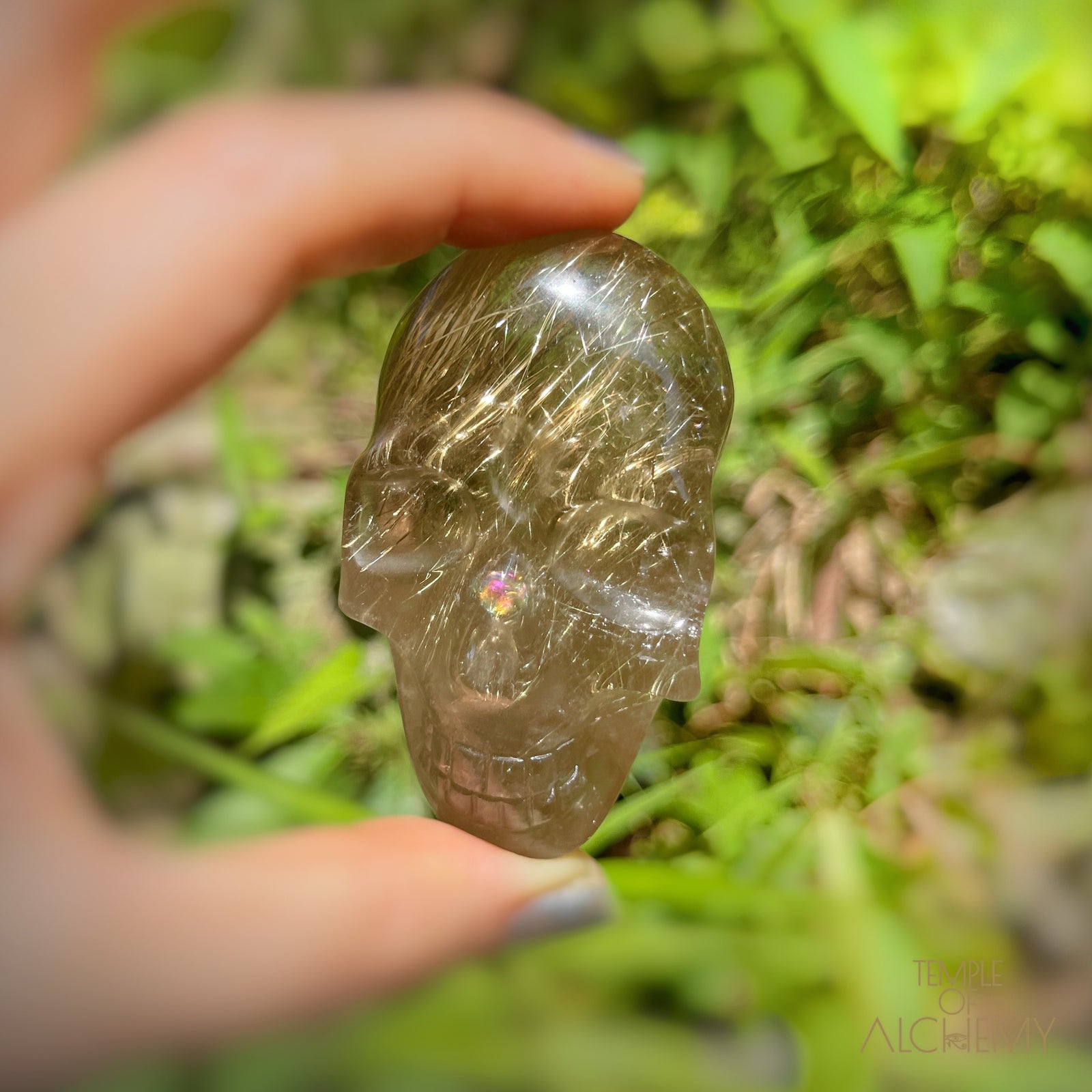 Citrine x Golden Rutiles