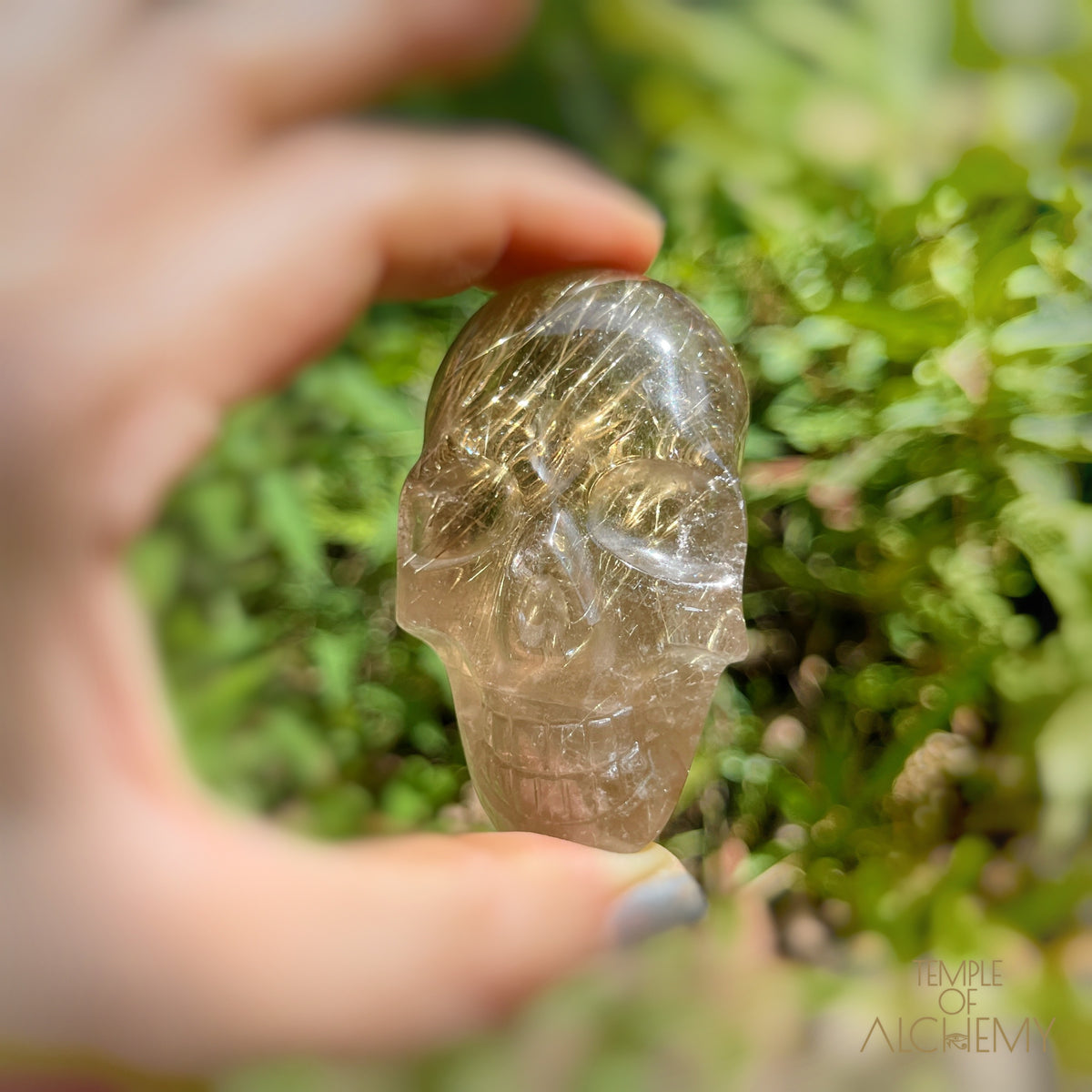 Citrine x Golden Rutiles