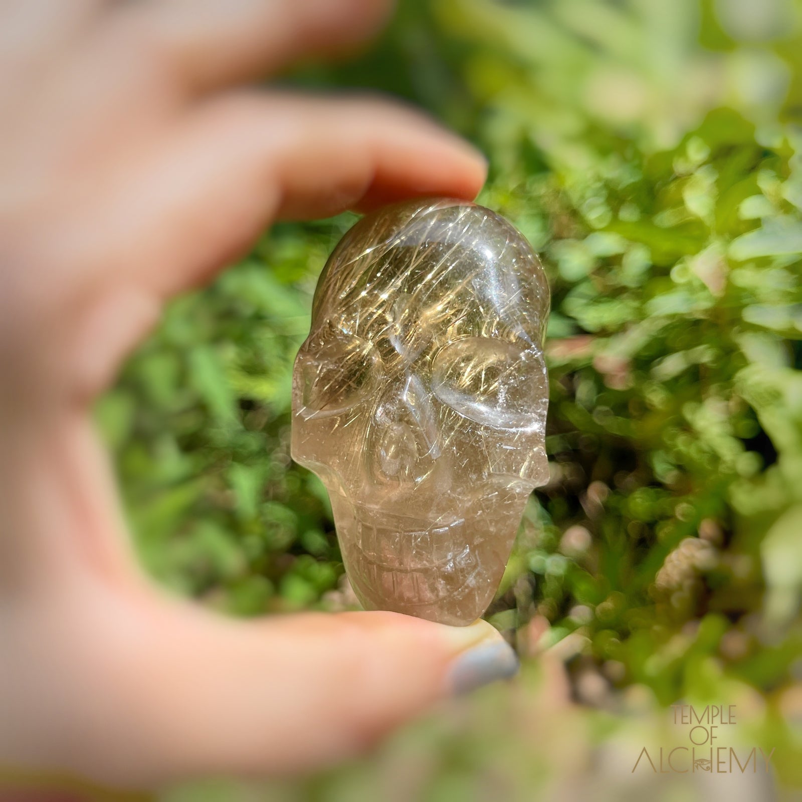 Citrine x Golden Rutiles