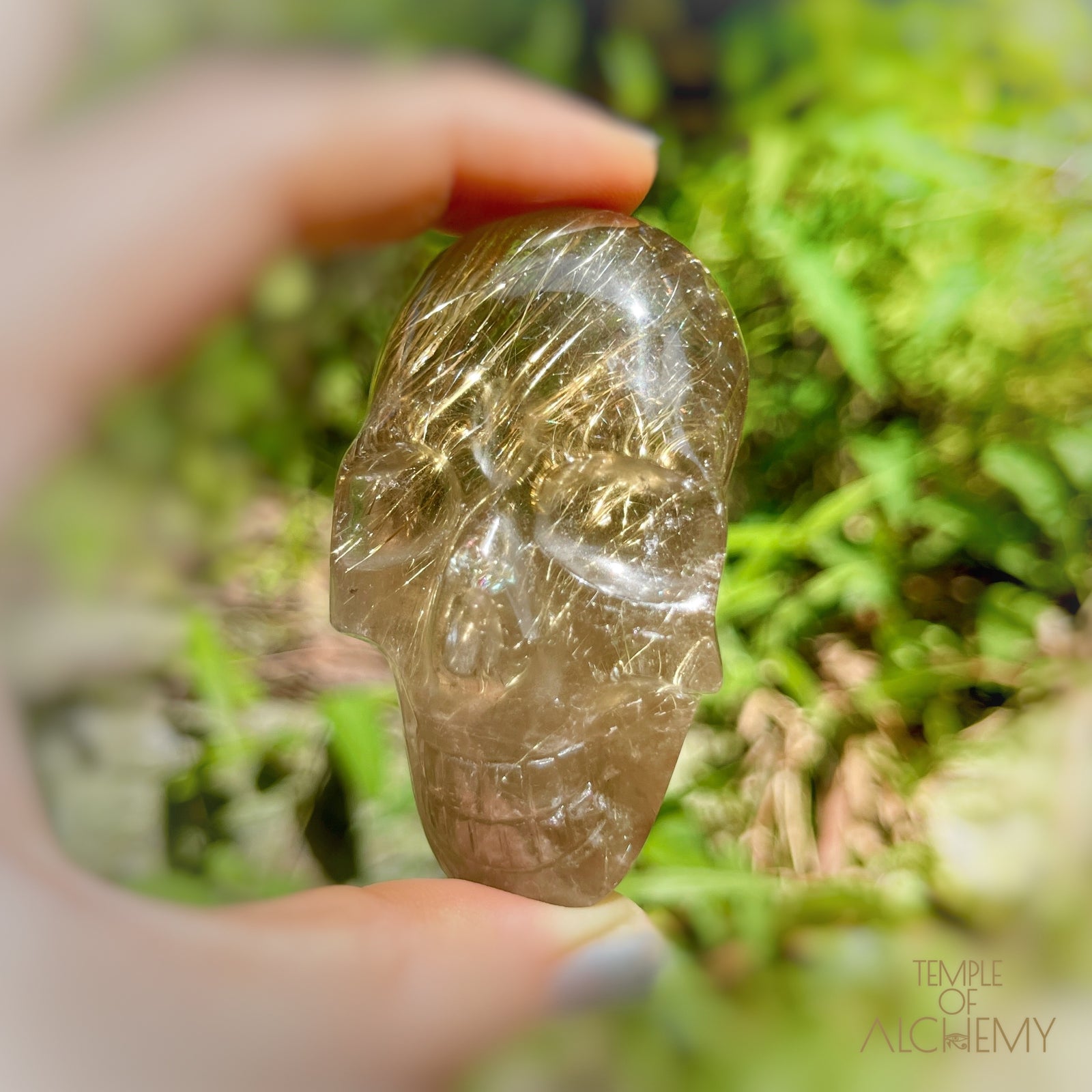 Citrine x Golden Rutiles