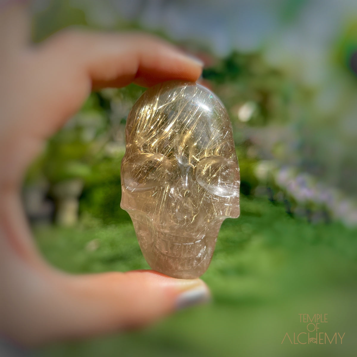 Citrine x Golden Rutiles