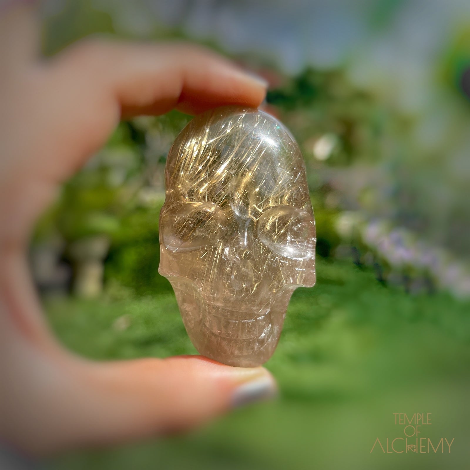 Citrine x Golden Rutiles