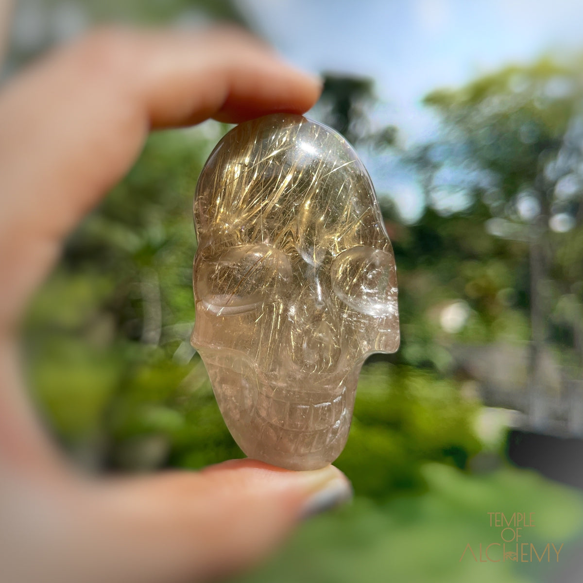 Citrine x Golden Rutiles