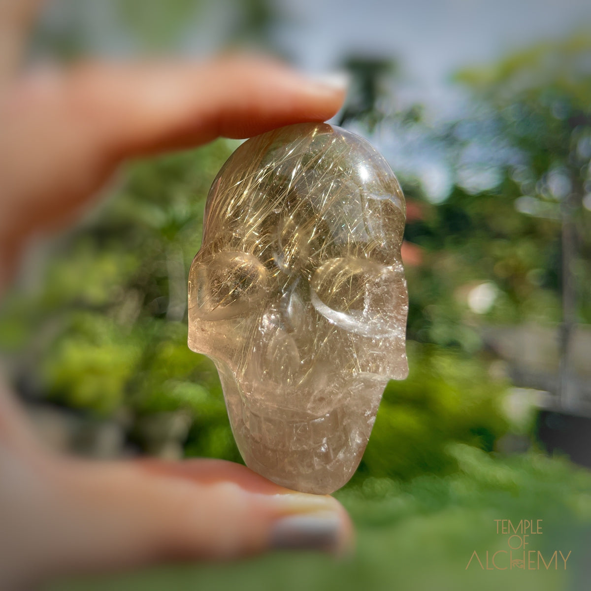 Citrine x Golden Rutiles