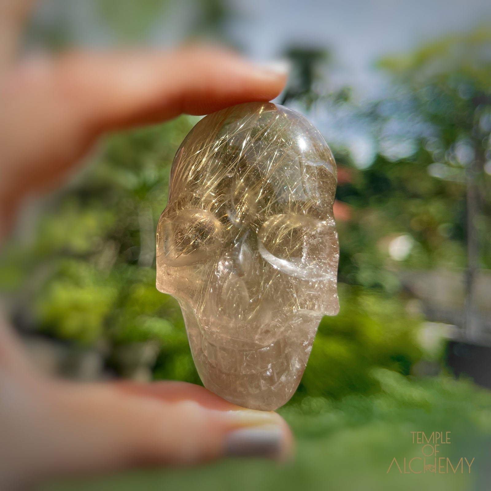 Citrine x Golden Rutiles