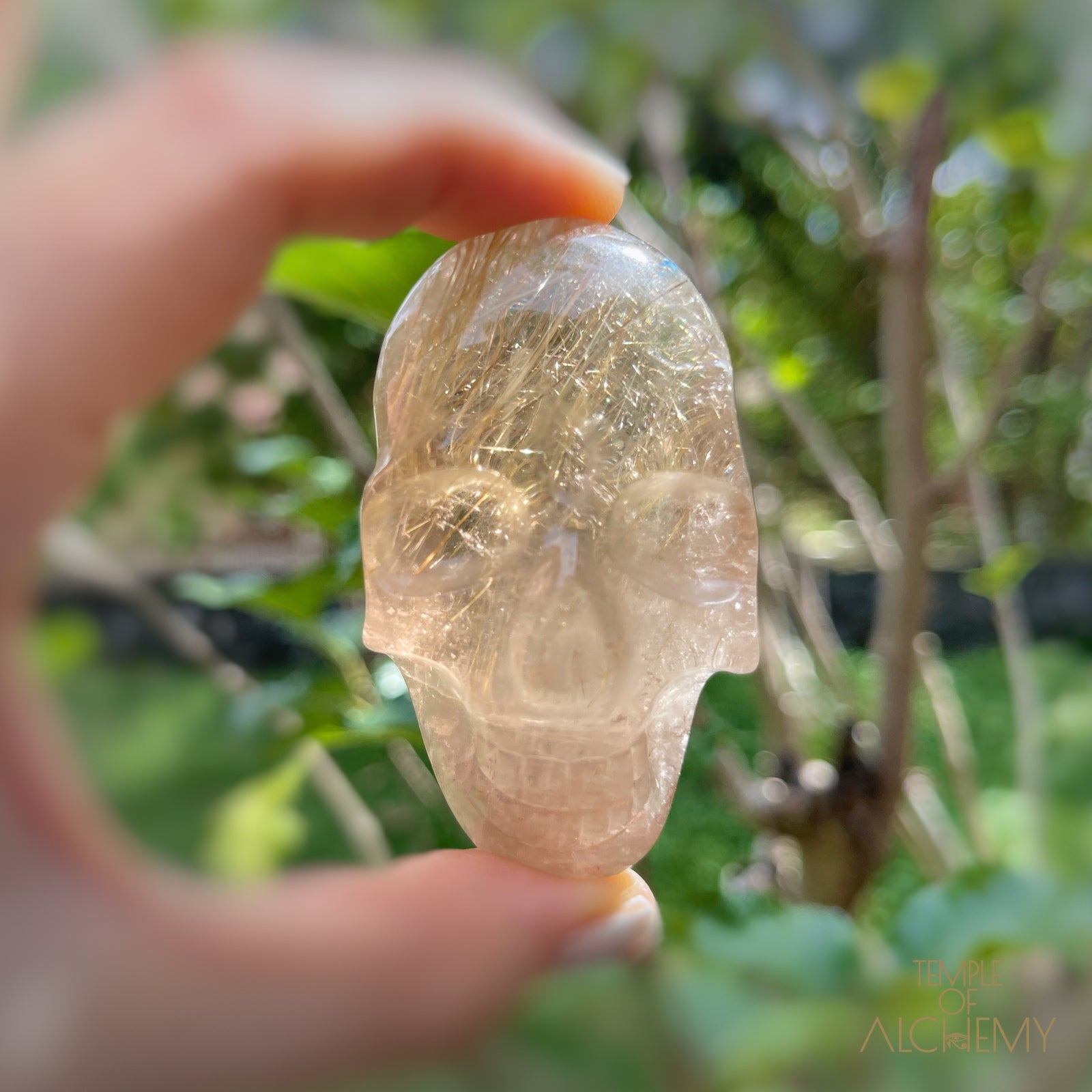 Citrine x Golden Rutiles