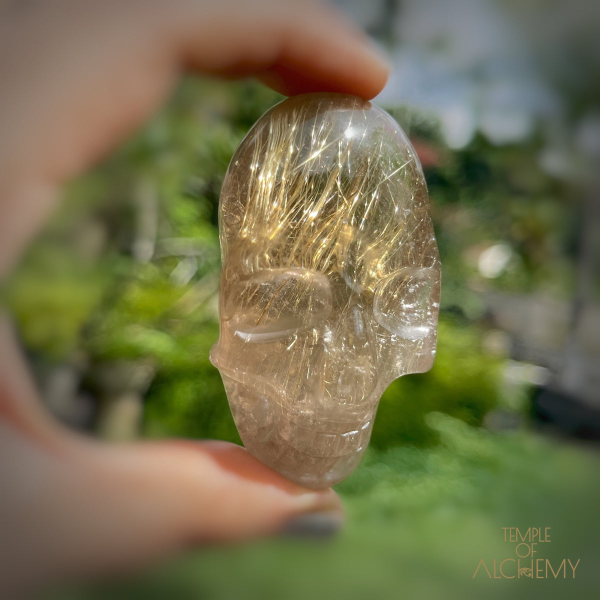 Citrine x Golden Rutiles